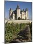 Vineyards around the Chateau De Saumur, Maine-et-Loire, Pays De La Loire, France, Europe-James Emmerson-Mounted Photographic Print