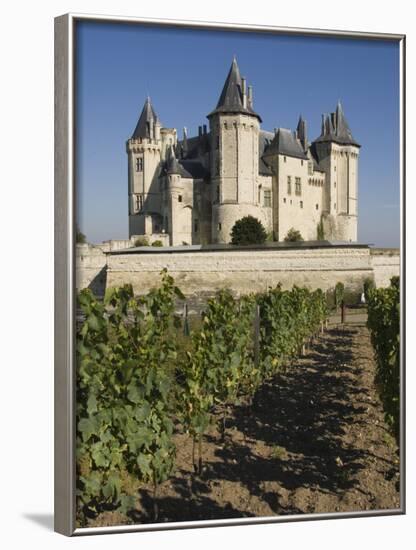 Vineyards around the Chateau De Saumur, Maine-et-Loire, Pays De La Loire, France, Europe-James Emmerson-Framed Photographic Print