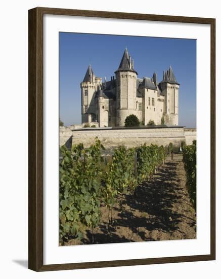 Vineyards around the Chateau De Saumur, Maine-et-Loire, Pays De La Loire, France, Europe-James Emmerson-Framed Photographic Print