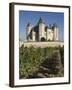 Vineyards around the Chateau De Saumur, Maine-et-Loire, Pays De La Loire, France, Europe-James Emmerson-Framed Photographic Print