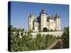 Vineyards around the Chateau De Saumur, Maine-et-Loire, Pays De La Loire, France, Europe-James Emmerson-Stretched Canvas