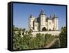 Vineyards around the Chateau De Saumur, Maine-et-Loire, Pays De La Loire, France, Europe-James Emmerson-Framed Stretched Canvas