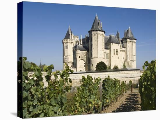 Vineyards around the Chateau De Saumur, Maine-et-Loire, Pays De La Loire, France, Europe-James Emmerson-Stretched Canvas