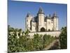 Vineyards around the Chateau De Saumur, Maine-et-Loire, Pays De La Loire, France, Europe-James Emmerson-Mounted Photographic Print