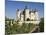 Vineyards around the Chateau De Saumur, Maine-et-Loire, Pays De La Loire, France, Europe-James Emmerson-Mounted Photographic Print