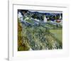 Vineyards at Auvers, c.1890-Vincent van Gogh-Framed Art Print