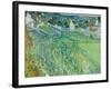 Vineyards at Auvers, June 1890-Vincent van Gogh-Framed Giclee Print