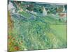 Vineyards at Auvers, June 1890-Vincent van Gogh-Mounted Giclee Print