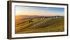 Vineyards at Barbaresco, Piedmont, Italy, Europe-Alexandre Rotenberg-Framed Photographic Print