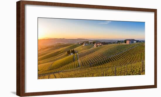 Vineyards at Barbaresco, Piedmont, Italy, Europe-Alexandre Rotenberg-Framed Photographic Print