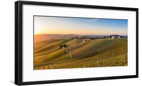 Vineyards at Barbaresco, Piedmont, Italy, Europe-Alexandre Rotenberg-Framed Photographic Print