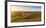 Vineyards at Barbaresco, Piedmont, Italy, Europe-Alexandre Rotenberg-Framed Photographic Print