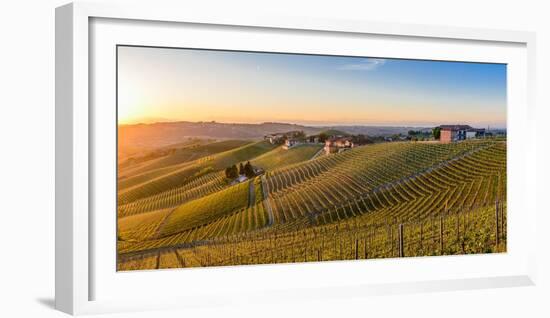 Vineyards at Barbaresco, Piedmont, Italy, Europe-Alexandre Rotenberg-Framed Photographic Print