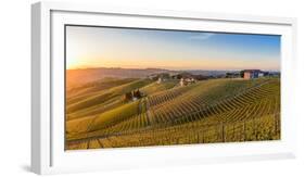 Vineyards at Barbaresco, Piedmont, Italy, Europe-Alexandre Rotenberg-Framed Photographic Print