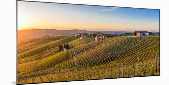 Vineyards at Barbaresco, Piedmont, Italy, Europe-Alexandre Rotenberg-Mounted Photographic Print
