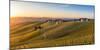 Vineyards at Barbaresco, Piedmont, Italy, Europe-Alexandre Rotenberg-Mounted Photographic Print