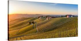 Vineyards at Barbaresco, Piedmont, Italy, Europe-Alexandre Rotenberg-Stretched Canvas
