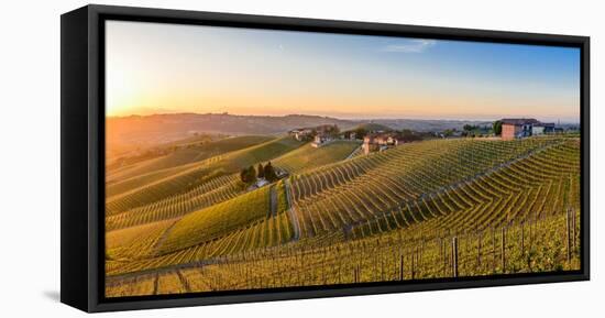 Vineyards at Barbaresco, Piedmont, Italy, Europe-Alexandre Rotenberg-Framed Stretched Canvas