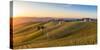 Vineyards at Barbaresco, Piedmont, Italy, Europe-Alexandre Rotenberg-Stretched Canvas