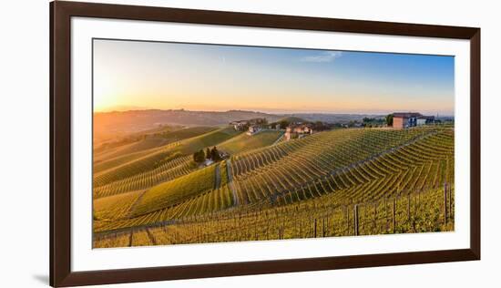 Vineyards at Barbaresco, Piedmont, Italy, Europe-Alexandre Rotenberg-Framed Photographic Print