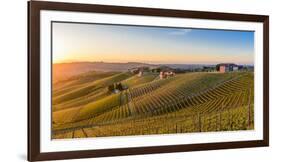 Vineyards at Barbaresco, Piedmont, Italy, Europe-Alexandre Rotenberg-Framed Photographic Print