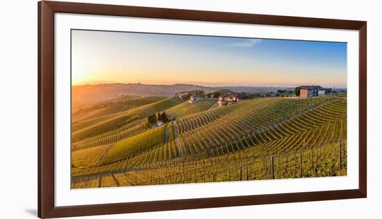 Vineyards at Barbaresco, Piedmont, Italy, Europe-Alexandre Rotenberg-Framed Photographic Print