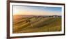 Vineyards at Barbaresco, Piedmont, Italy, Europe-Alexandre Rotenberg-Framed Photographic Print