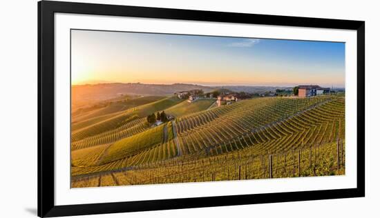 Vineyards at Barbaresco, Piedmont, Italy, Europe-Alexandre Rotenberg-Framed Photographic Print