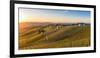 Vineyards at Barbaresco, Piedmont, Italy, Europe-Alexandre Rotenberg-Framed Photographic Print