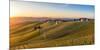 Vineyards at Barbaresco, Piedmont, Italy, Europe-Alexandre Rotenberg-Mounted Photographic Print