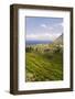 Vineyards at Malfa-Guido Cozzi-Framed Photographic Print