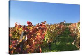 Vineyards at Michaelsberg Mountain with Michaelskirche Church-Markus-Stretched Canvas