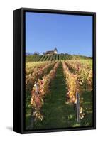 Vineyards at Michaelsberg Mountain with Michaelskirche Church-Markus-Framed Stretched Canvas