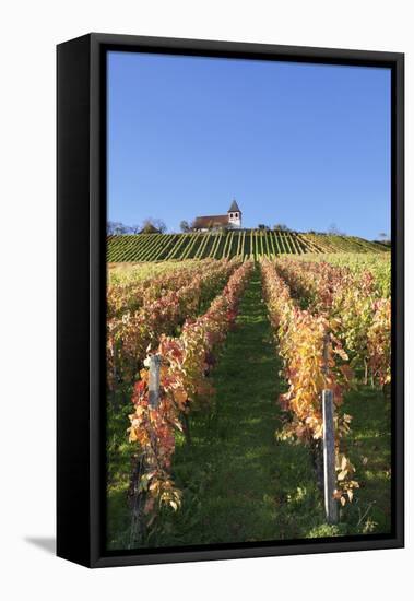 Vineyards at Michaelsberg Mountain with Michaelskirche Church-Markus-Framed Stretched Canvas