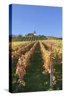 Vineyards at Michaelsberg Mountain with Michaelskirche Church-Markus-Stretched Canvas