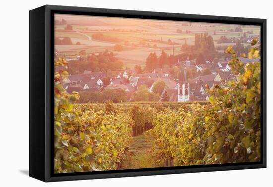 Vineyards at Sunset-Markus-Framed Stretched Canvas