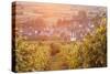 Vineyards at Sunset-Markus-Stretched Canvas