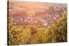 Vineyards at Sunset-Markus-Stretched Canvas