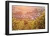 Vineyards at Sunset-Markus-Framed Photographic Print