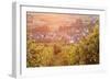 Vineyards at Sunset-Markus-Framed Photographic Print