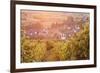 Vineyards at Sunset-Markus-Framed Photographic Print