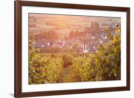 Vineyards at Sunset-Markus-Framed Photographic Print