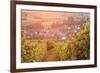 Vineyards at Sunset-Markus-Framed Photographic Print