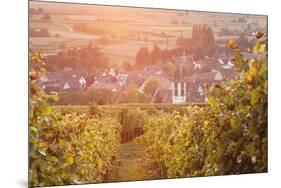 Vineyards at Sunset-Markus-Mounted Photographic Print