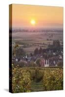 Vineyards at Sunset-Markus-Stretched Canvas