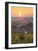 Vineyards at Sunset-Markus-Framed Photographic Print