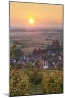 Vineyards at Sunset-Markus-Mounted Photographic Print