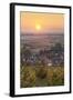 Vineyards at Sunset-Markus-Framed Photographic Print