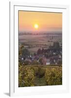 Vineyards at Sunset-Markus-Framed Photographic Print