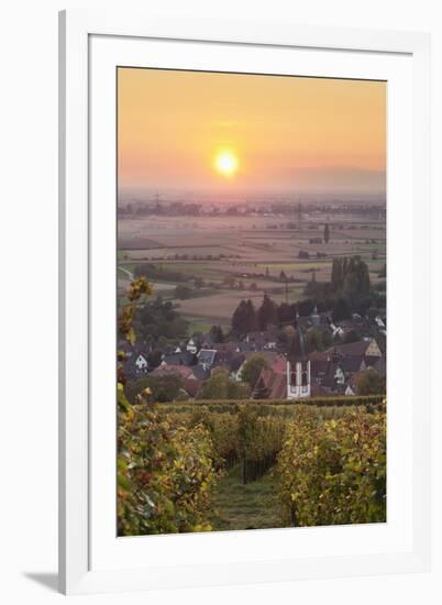 Vineyards at Sunset-Markus-Framed Photographic Print
